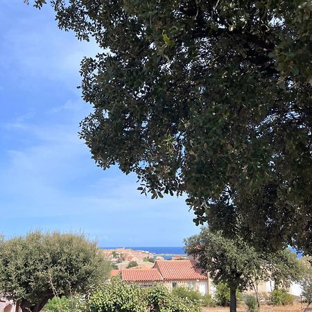 Appartement Rez De Villa LʼÎle-Rousse Εξωτερικό φωτογραφία