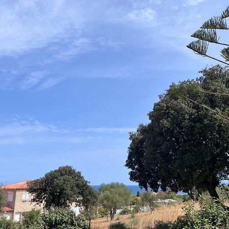 Appartement Rez De Villa LʼÎle-Rousse Εξωτερικό φωτογραφία
