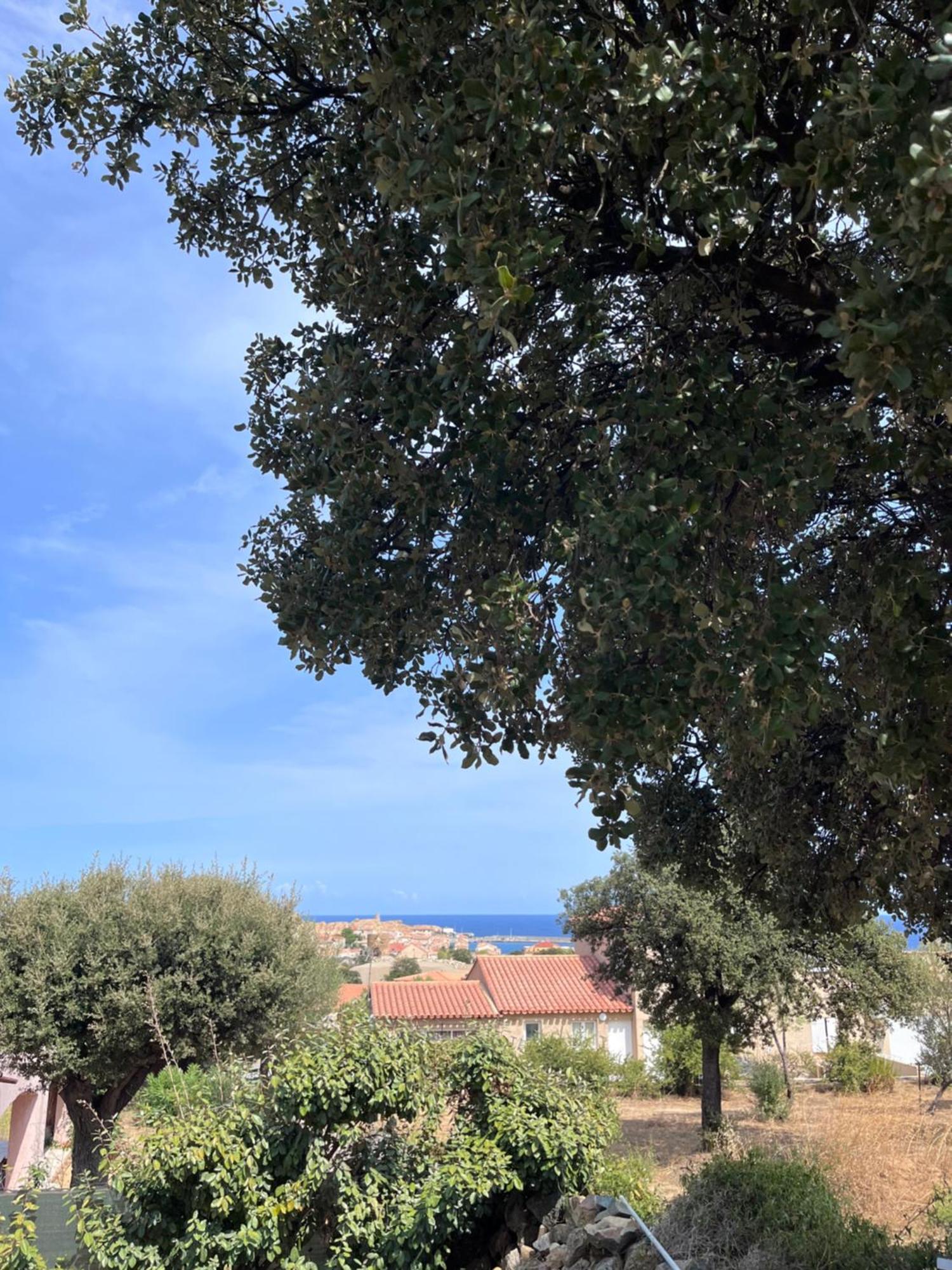 Appartement Rez De Villa LʼÎle-Rousse Εξωτερικό φωτογραφία