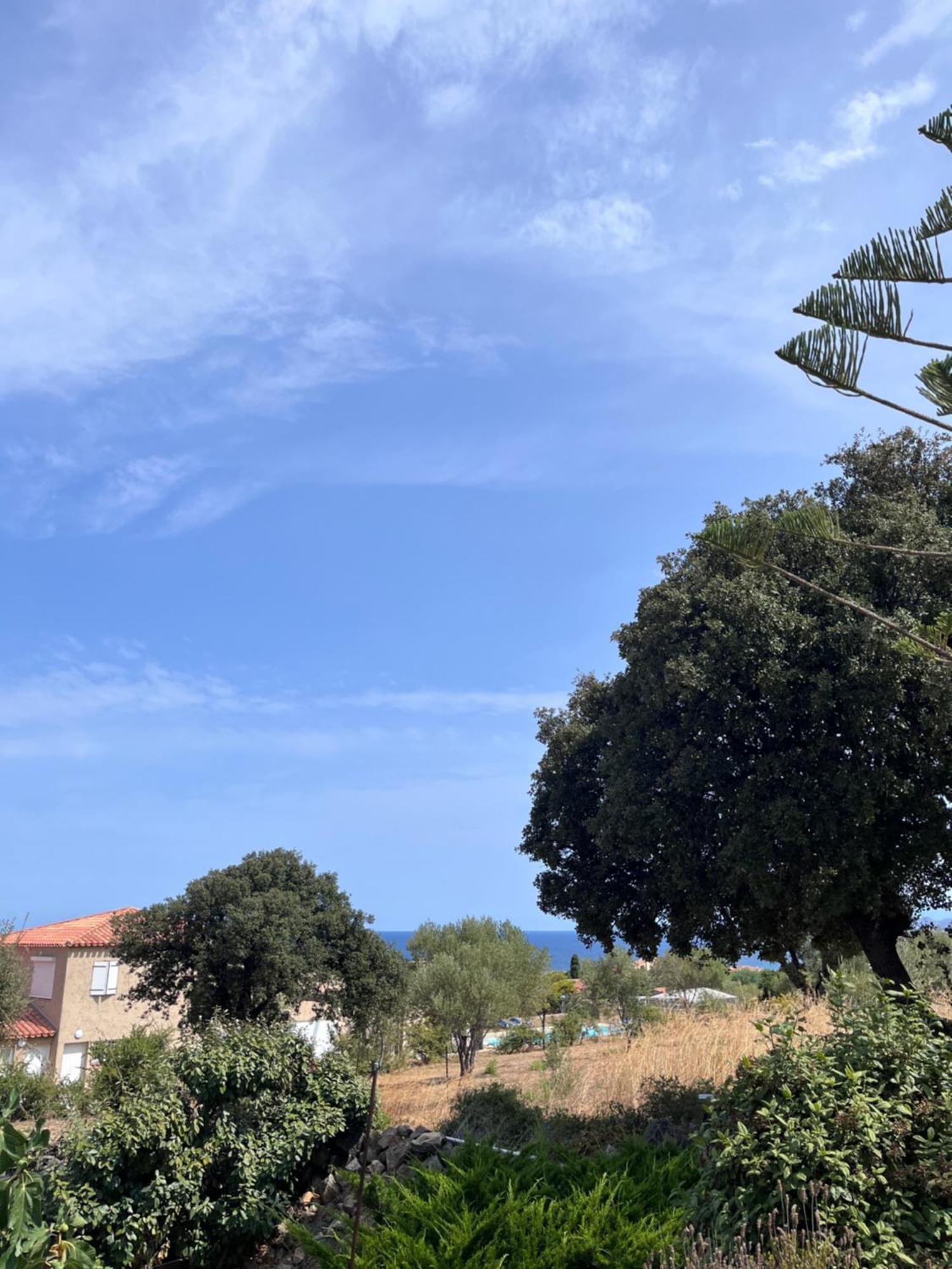 Appartement Rez De Villa LʼÎle-Rousse Εξωτερικό φωτογραφία